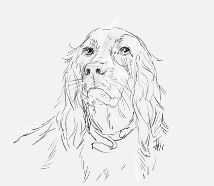 Monkey the Spaniel.jpg Monkey the Spaniel.jpg